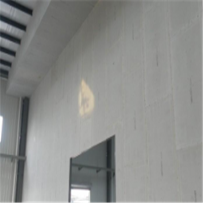 临海宁波ALC板|EPS加气板隔墙与混凝土整浇联接的实验研讨